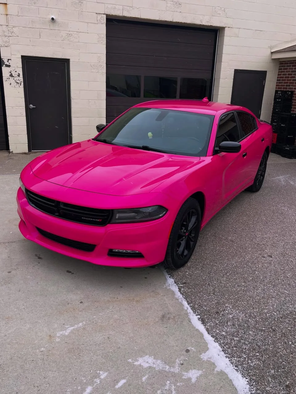 Vehicle Wraps